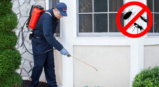 Mordoğan Hamam Böceği İlaçlama böcek ilaçlama ve haşere kontrolü — ilaclama-tr.com